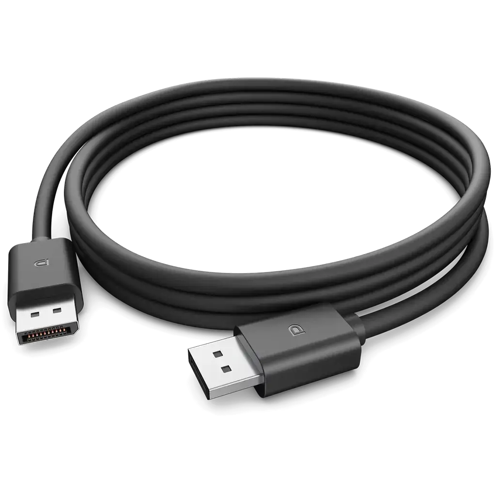 Cable DisplayPort 1080p Macho a Macho de 1.8 m's photo #1